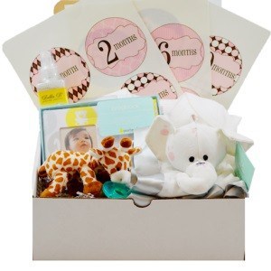 Baby Bump Bundle