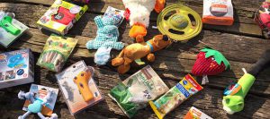 Pet Treater Dog Subscription Box
