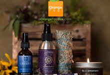 Orange Peel Box September 2017 FULL Spoilers