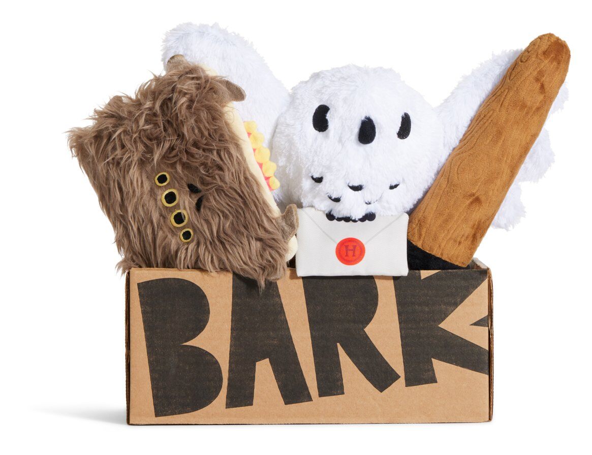 Harry Potter themed BarkBox gift box with three toys for medium and large dogs