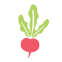 Raddish Kids logo