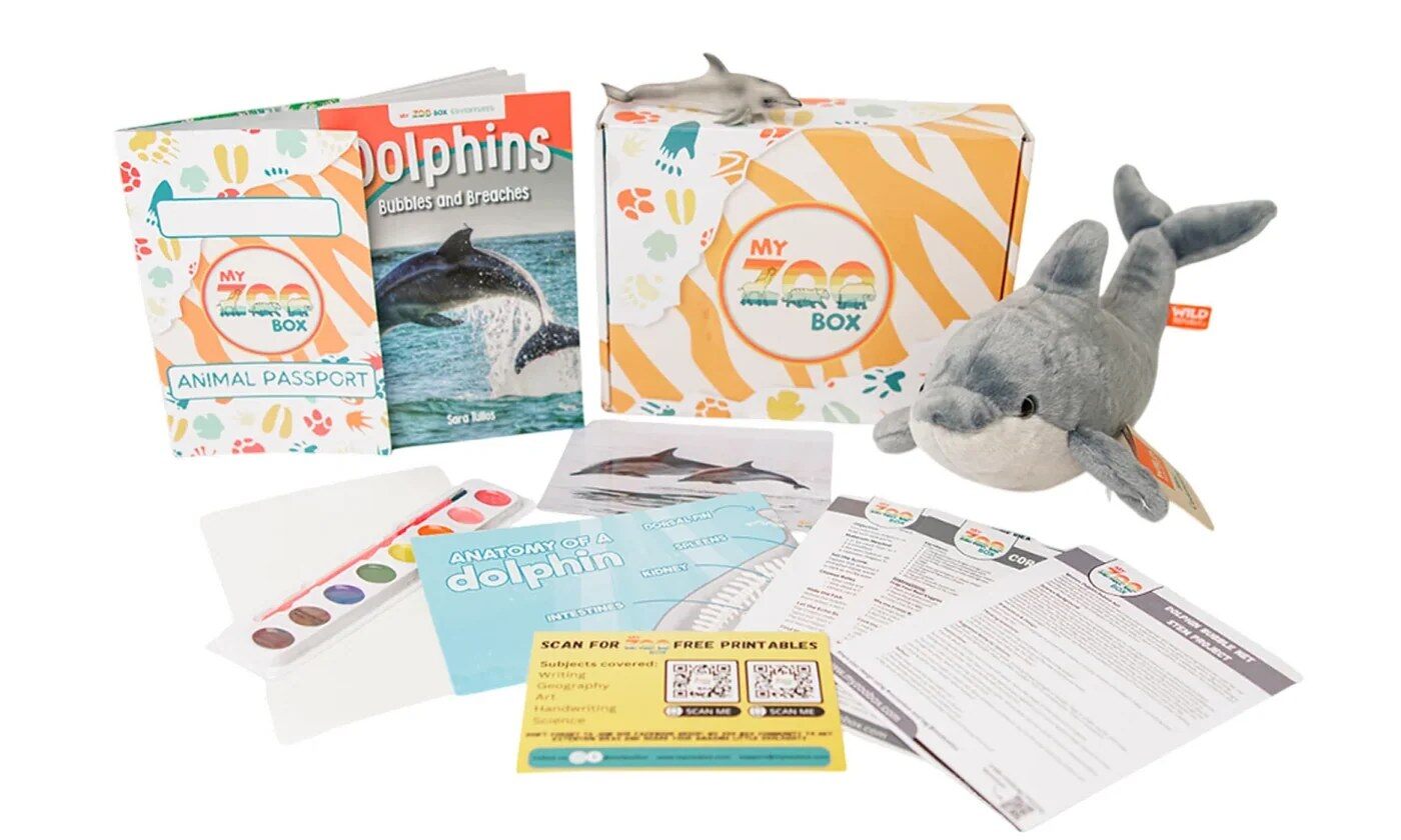 Contents of a My ZOO Box dolphin kit with plush, book, poster and activities