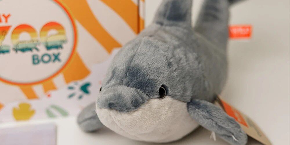 Gray dolphin plush in front of a My ZOO Box