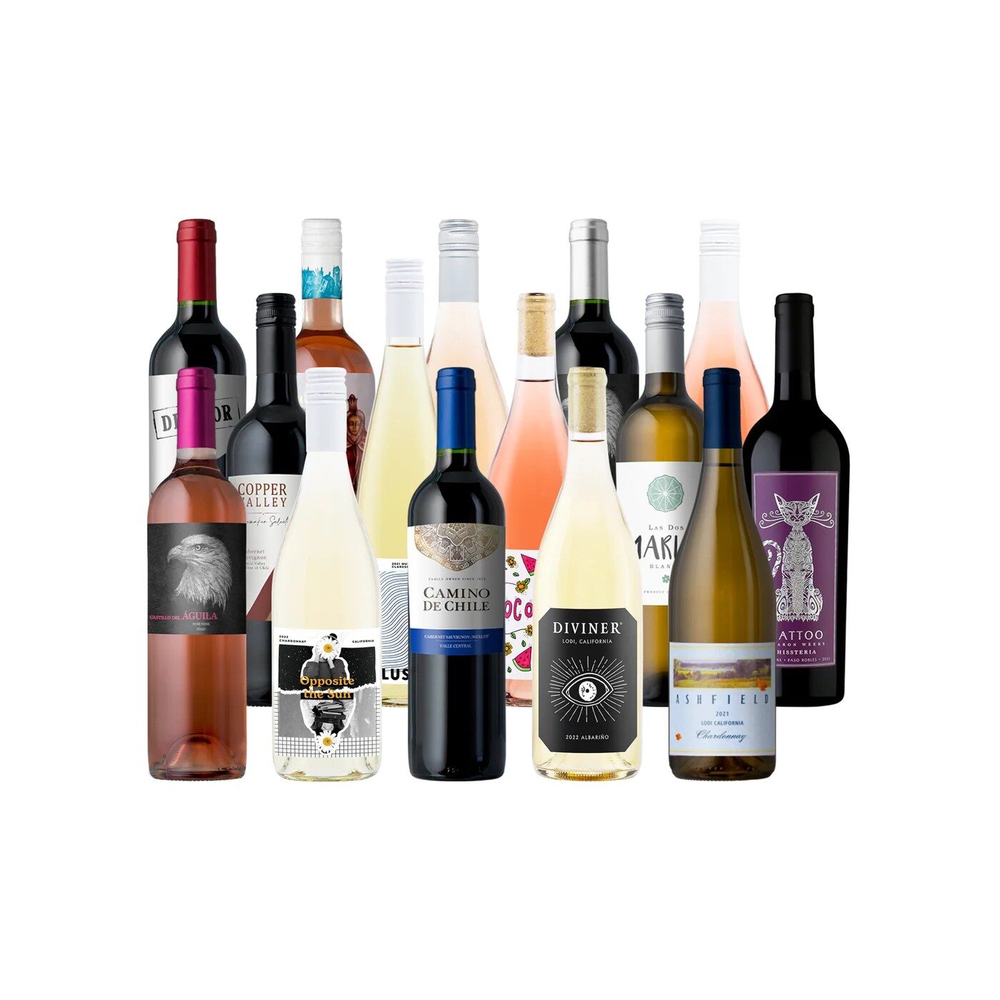 Fifteen bottles of red, white and rose wine from Splash